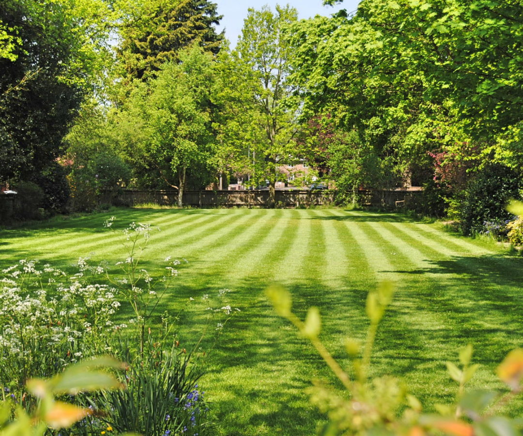 Freshly mowed lawn with neat stripes in a sunlit garden surrounded by trees