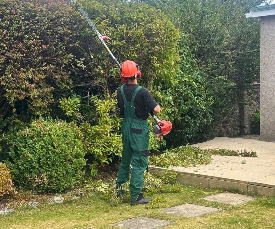 Gardener trimming tall hedge with long-reach trimmer, RoMack Garden Services.